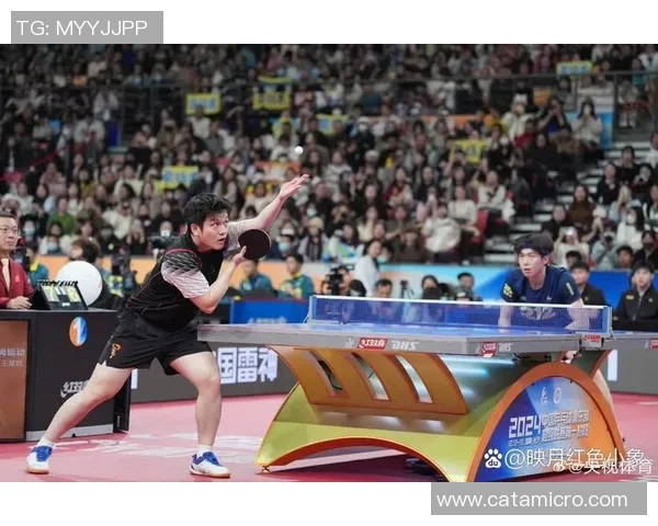 南京乒乓球队总决赛表现分析：灵活性与战术运用的完美结合