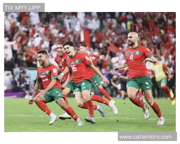 杭州乒乓球队迎接世界杯挑战的转型之路与未来展望