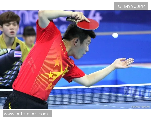 武汉乒乓球队荣登全国个人能力排行榜第三名展现强劲实力