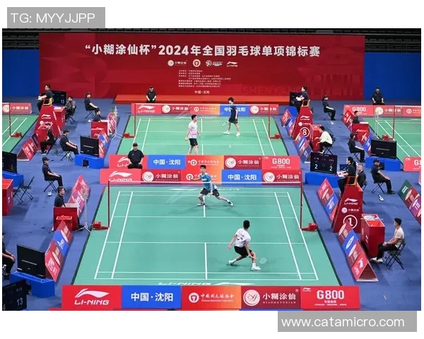 羽毛球盛宴：深入武汉羽毛球队的速度与激情之旅