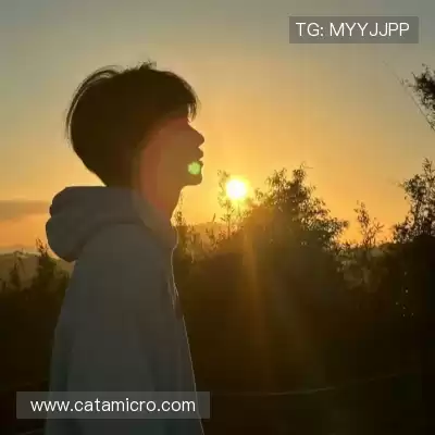 樊茉骊