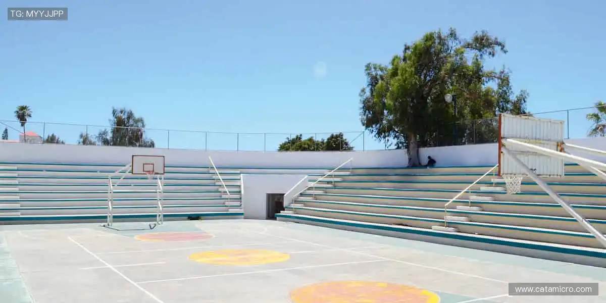 速度与激情，一键开启！🏃